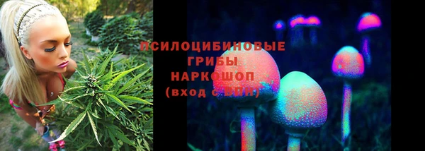 первитин Протвино