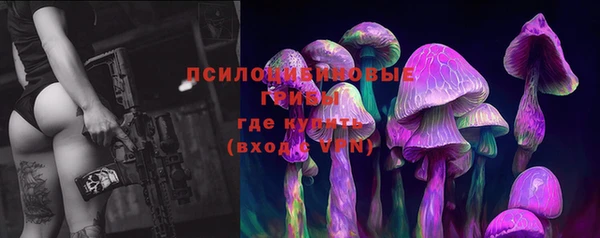 твердый Покровск