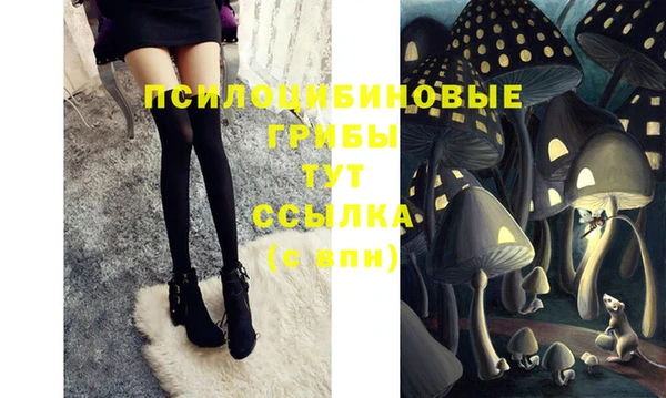 MDMA Premium VHQ Пролетарск